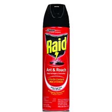 Raid 17.5oz. Ant & Roach Killer, Case of 12