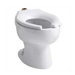 Kohler Wellcomme Elongated Toilet - White