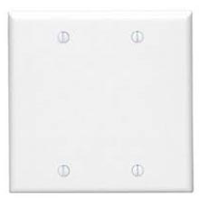 P&S Two Gang Blank Plate - White